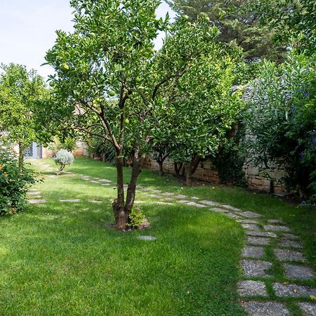Domus Templaris Panzió Terlizzi Kültér fotó